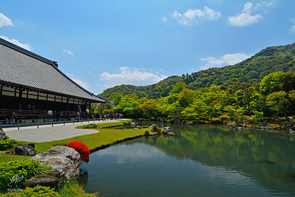 寺 天龍