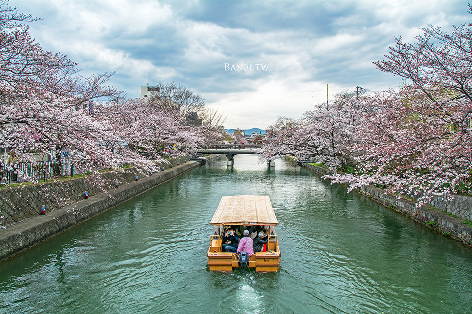 平安神宮與岡崎疏水 大鳥居旁的滿滿櫻花河畔與小船京都景點 Banbi 斑比美食旅遊
