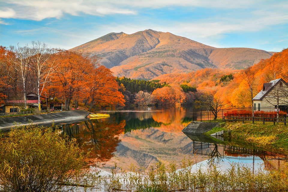 長老湖 楓葉染成火紅湖水的絕景 宮城版青森蔦沼朝燒日本東北賞楓推薦 陸奧童話街道 Banbi 斑比美食旅遊