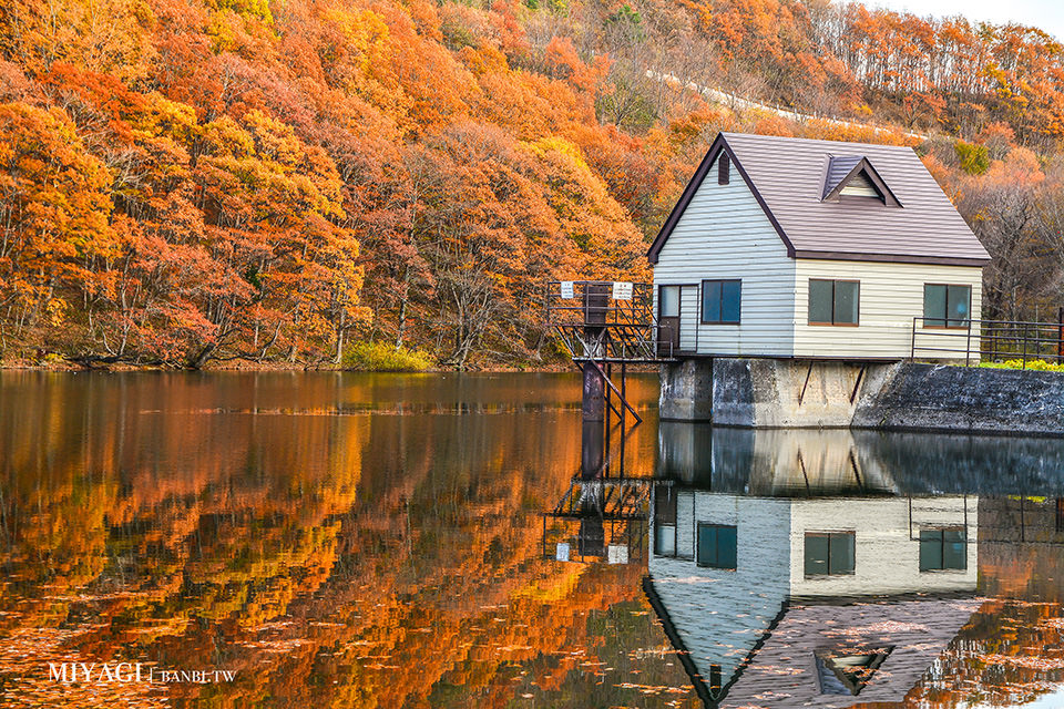 長老湖 楓葉染成火紅湖水的絕景 宮城版青森蔦沼朝燒日本東北賞楓推薦 陸奧童話街道 Banbi 斑比美食旅遊