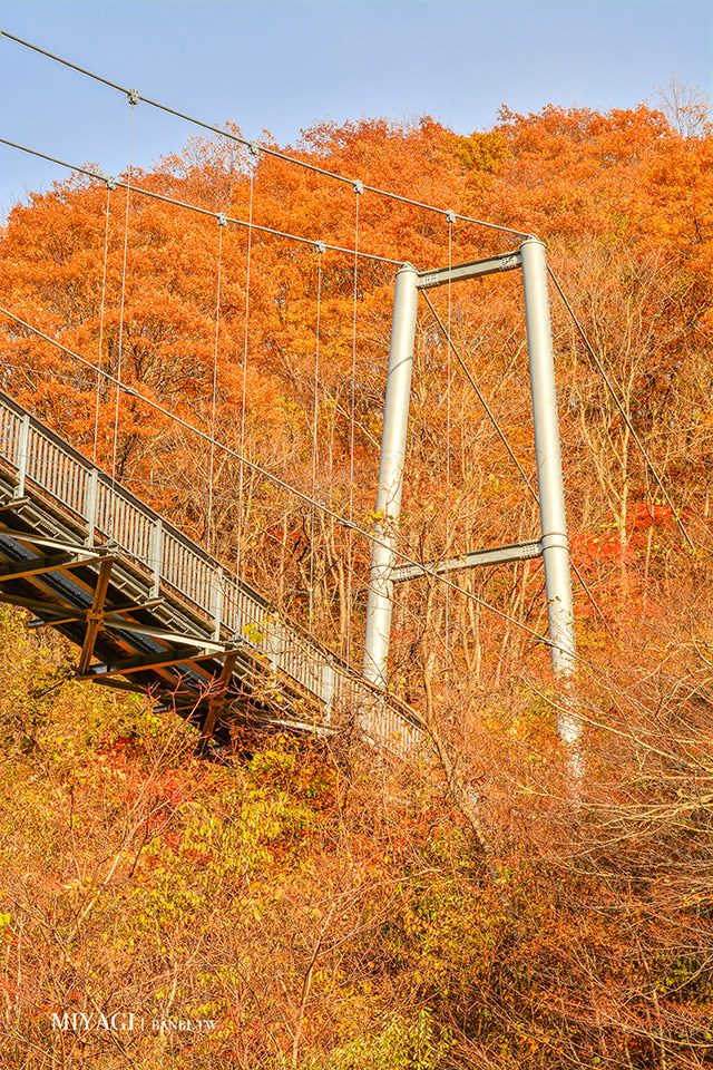 長老湖 楓葉染成火紅湖水的絕景 宮城版青森蔦沼朝燒日本東北賞楓推薦 陸奧童話街道 Banbi 斑比美食旅遊