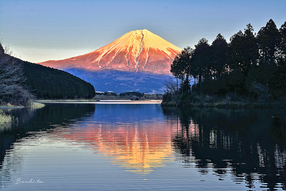 日本富士山一日旅遊 靜岡田貫湖近距離欣賞各種顏色富士山 住在富士山旁 白絲瀑布 朝霧高原交通 Banbi 斑比美食旅遊