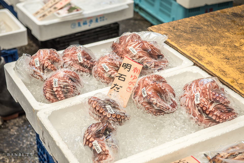 兵庫明石魚之棚商店街 新鮮海鮮美食 明石章魚燒三吃法 自己做大章魚仙貝 逛在地市場 Banbi 斑比美食旅遊