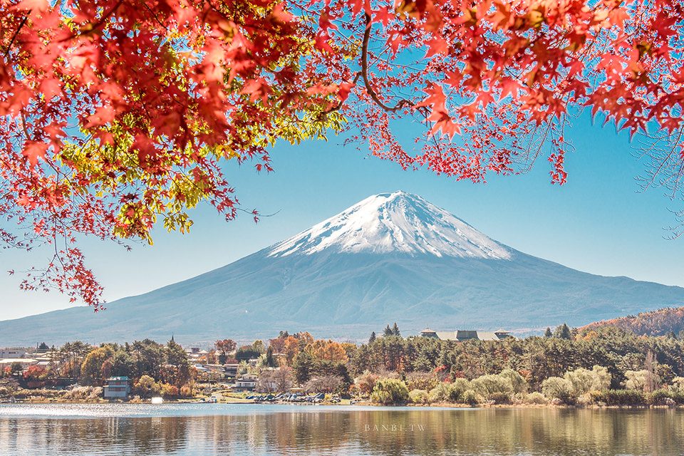 河口湖楓葉祭 紅葉迴廊 紅葉框富士山最強秋天景色 附東京直達交通 紅葉拍攝地點攻略 Banbi 斑比美食旅遊