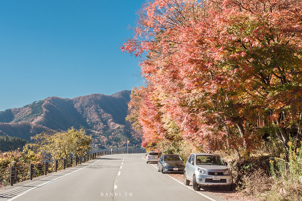 河口湖楓葉祭 紅葉迴廊 紅葉框富士山最強秋天景色 附東京直達交通 紅葉拍攝地點攻略 Banbi 斑比美食旅遊