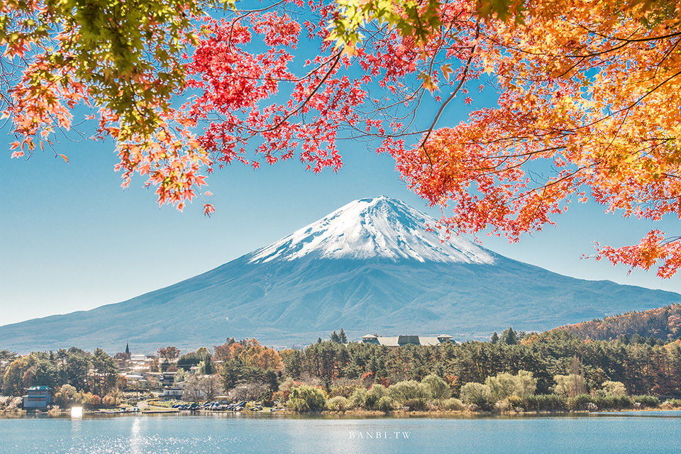 河口湖楓葉祭 紅葉迴廊 紅葉框富士山最強秋天景色 附東京直達交通 紅葉拍攝地點攻略 Banbi 斑比美食旅遊