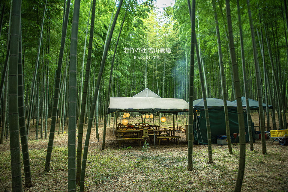 東京秘境 若竹之杜若山農場 竹林茶屋野餐 穿和服散步 烤栗子 竹林高盪鞦韆 Banbi 斑比美食旅遊