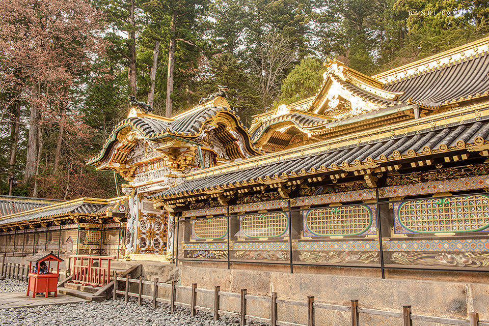 日光東照宮 探百年世界遺產 德川家金黃璀璨之殿 秋日賞楓 三猿 眠貓 鳴龍尋訪 Banbi 斑比美食旅遊