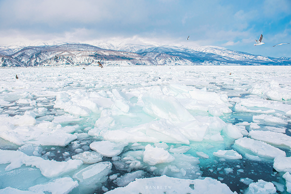 北海道流冰船 冬季道東夢想清單 海上白色幻境之美 流冰船預約 流冰時間 交通巴士 Banbi 斑比美食旅遊