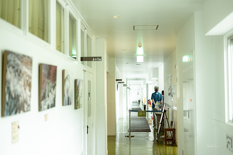 日本特色飯店、特色景點：千葉「道の駅 保田小學校」