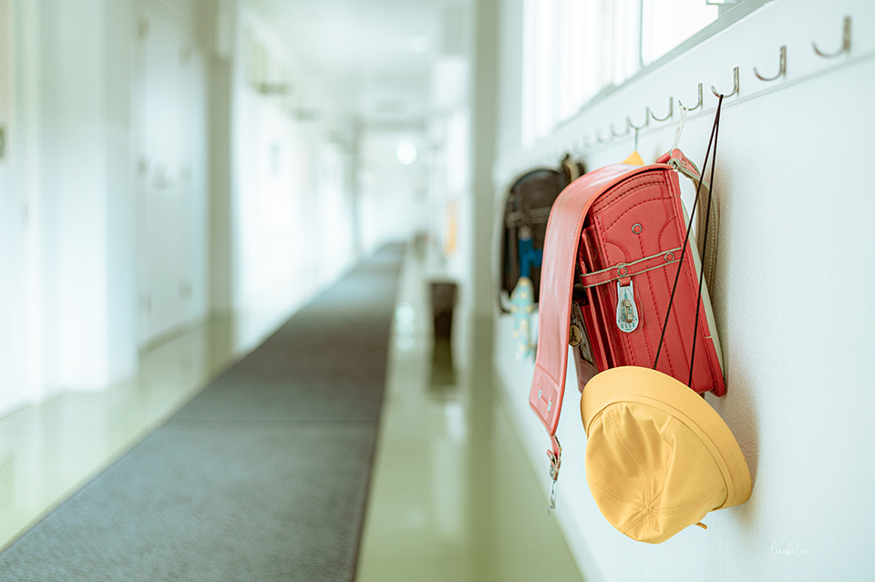 日本特色飯店、特色景點：千葉「道の駅 保田小學校」