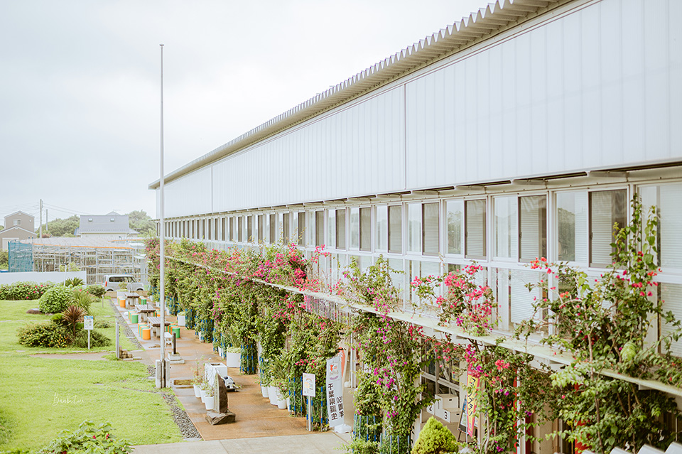 日本特色飯店、特色景點：千葉「道の駅 保田小學校」