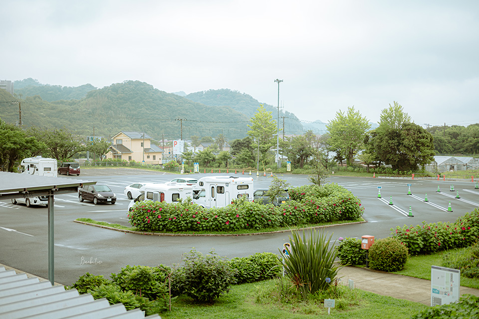 千葉「道之驛 保田小學校」開放時間與交通