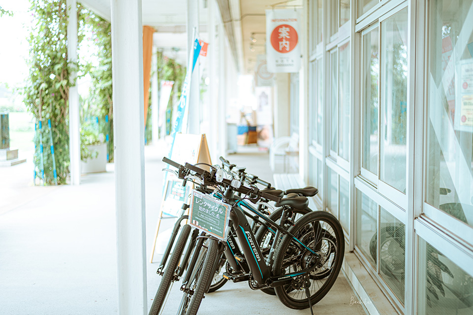 千葉「道之驛 保田小學校」開放時間與交通