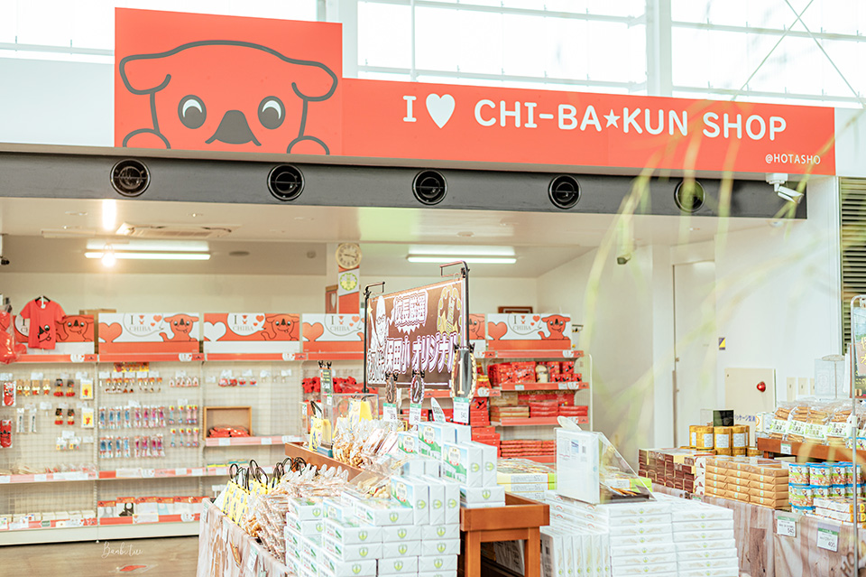 千葉保田小學校設施：美食、餐廳、咖啡店、商店