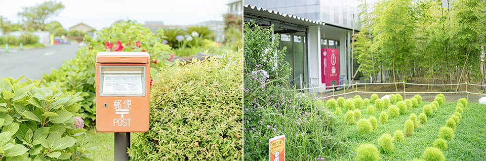 千葉保田小學校設施：美食、餐廳、咖啡店、商店