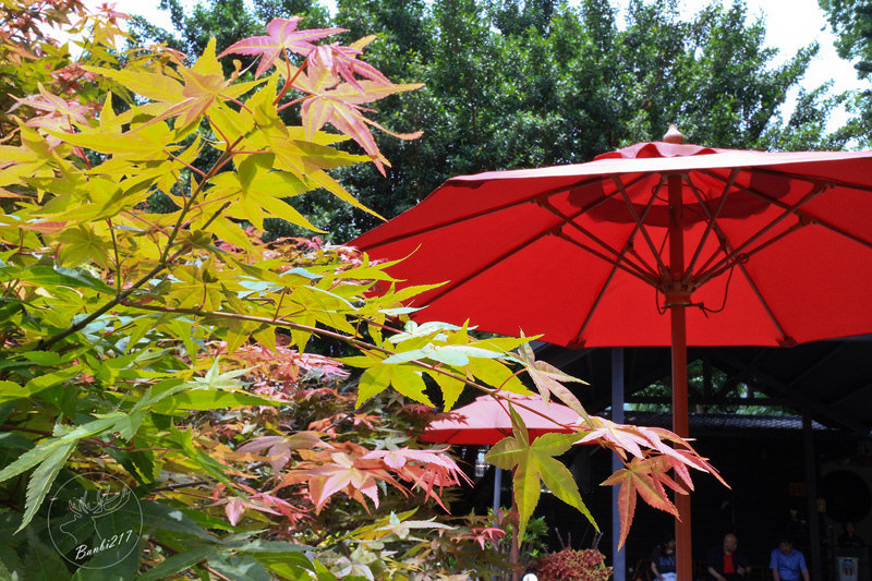 Banbi217 美食旅遊: 北投少帥禪園、漢卿美饌日式景觀餐廳美食、溫泉湯屋、小六茶鋪下午茶(捷運北投站、新北投站)