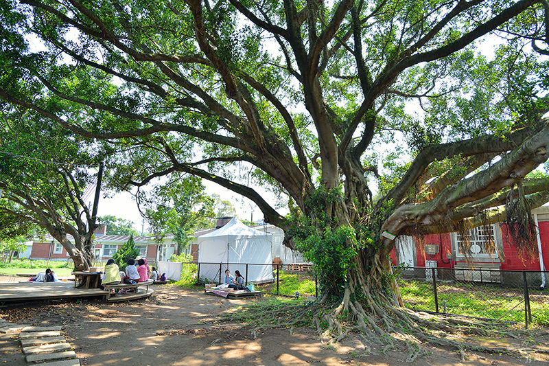 台北陽明山亞尼克夢想村:多款水果塔,野餐空間好舒適!(附野餐籃,野餐墊),台北陽明山甜點下午茶 台北陽明山亞尼克夢想村:多款水果塔,野餐空間好舒適!(附野餐籃,野餐墊),台北陽明山甜點下午茶