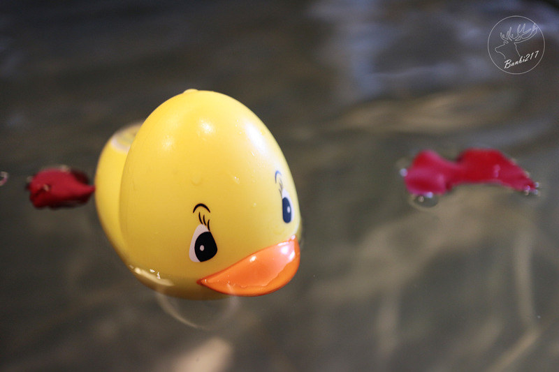 Banbi217 美食旅遊: 礁溪長榮鳳凰酒店(宜蘭溫泉住宿附早餐,免費到番茄果園採番茄)[邀約]