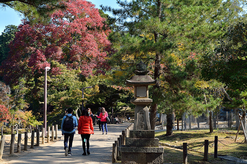 東大寺:有鹿圍繞的世界遺產,奈良一日遊景點交通,奈良公園與商店街