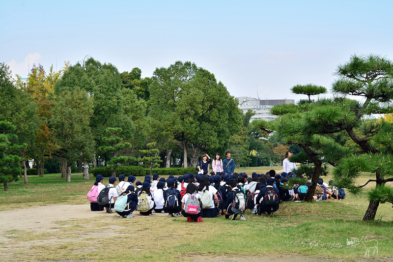 大阪旅遊景點 大阪城公園交通地鐵 大阪城天守閣 日本紅葉櫻花銀杏 Banbi 斑比美食旅遊