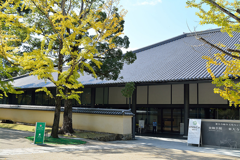東大寺:有鹿圍繞的世界遺產,奈良一日遊景點交通,奈良公園與商店街
