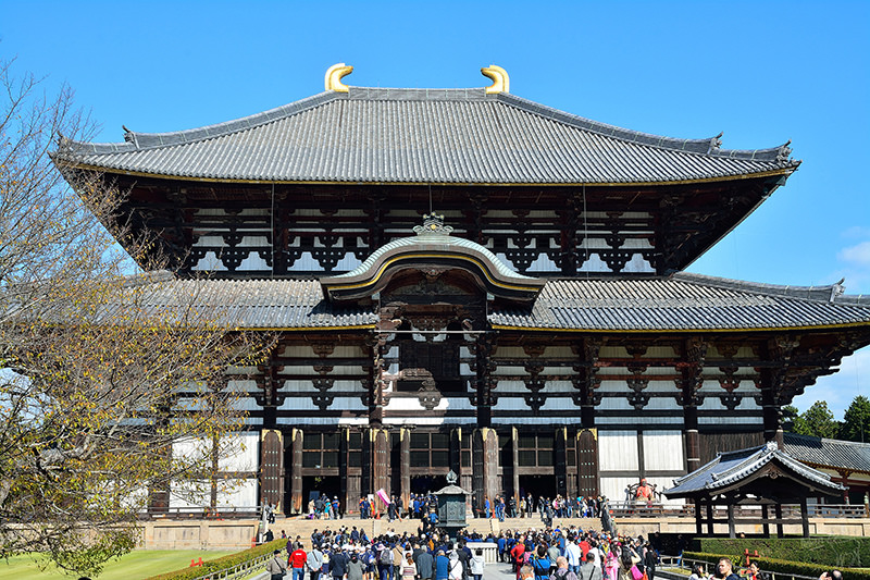 東大寺:有鹿圍繞的世界遺產,奈良一日遊景點交通,奈良公園與商店街