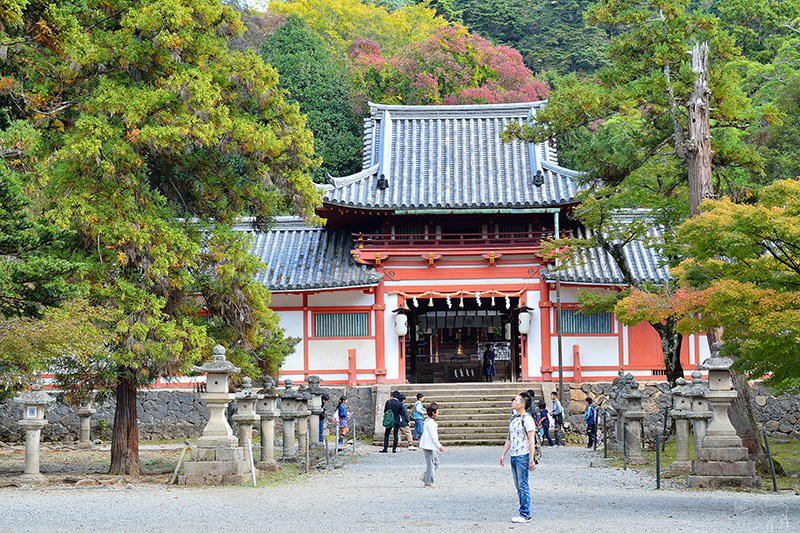 東大寺:有鹿圍繞的世界遺產,奈良一日遊景點交通,奈良公園與商店街