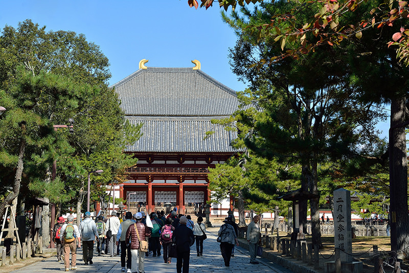 東大寺:有鹿圍繞的世界遺產,奈良一日遊景點交通,奈良公園與商店街