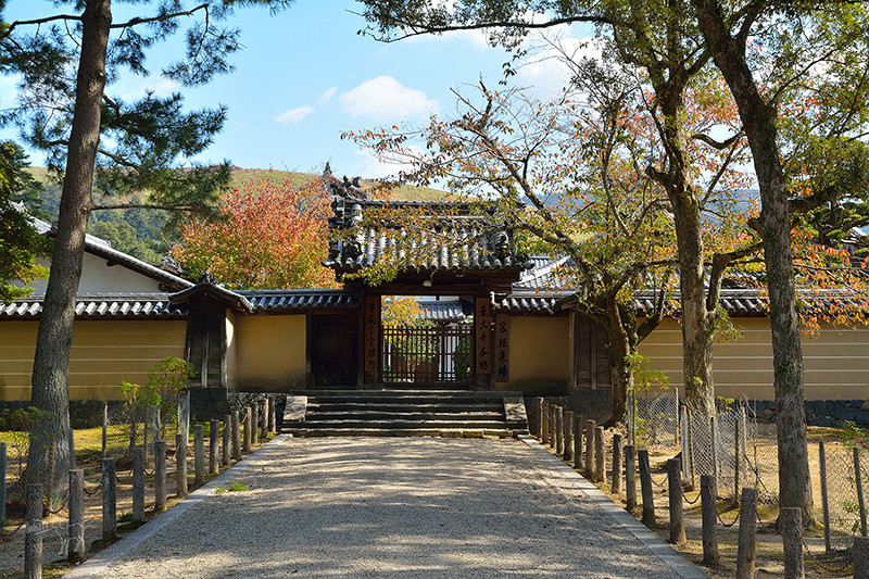 東大寺:有鹿圍繞的世界遺產,奈良一日遊景點交通,奈良公園與商店街