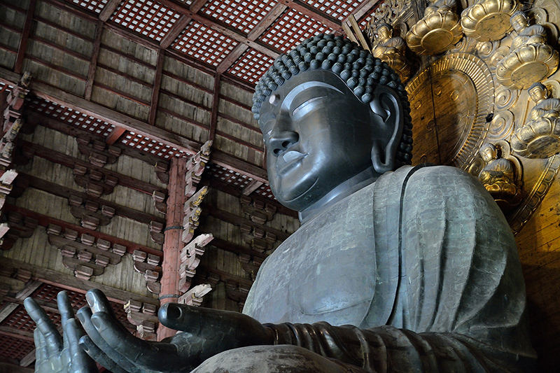 東大寺:有鹿圍繞的世界遺產,奈良一日遊景點交通,奈良公園與商店街