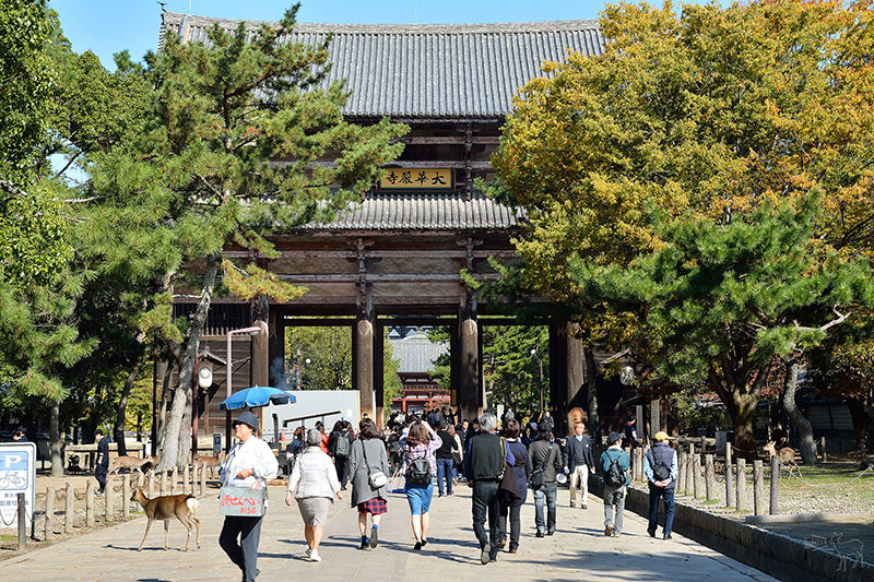 東大寺:有鹿圍繞的世界遺產,奈良一日遊景點交通,奈良公園與商店街