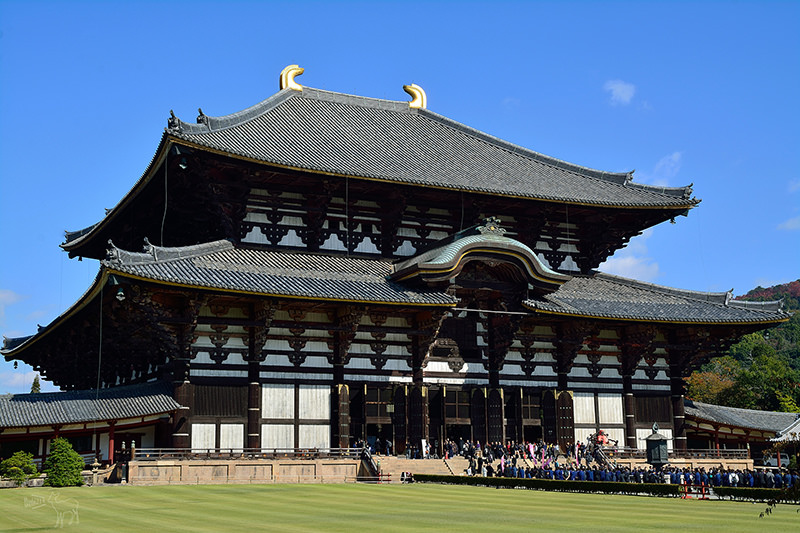 東大寺:有鹿圍繞的世界遺產,奈良一日遊景點交通,奈良公園與商店街
