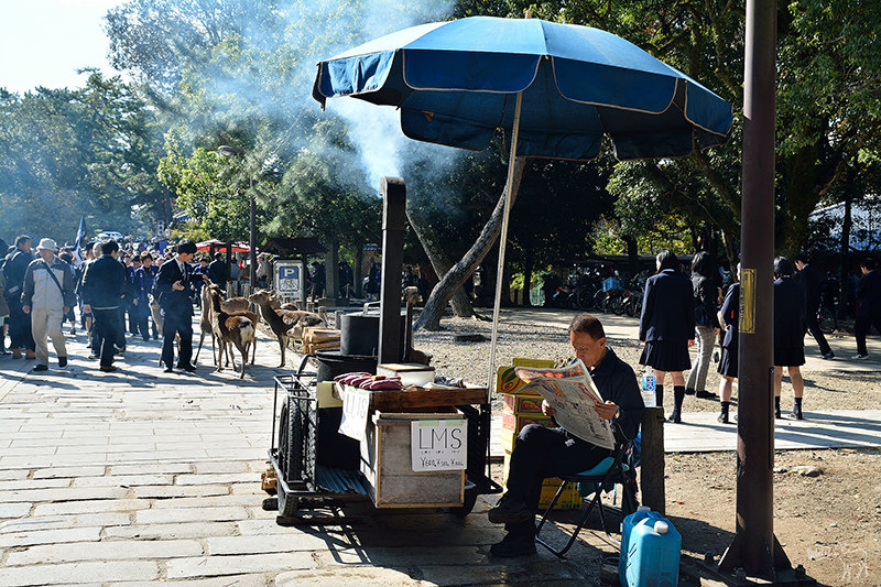 東大寺:有鹿圍繞的世界遺產,奈良一日遊景點交通,奈良公園與商店街