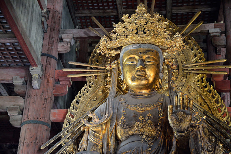 東大寺:有鹿圍繞的世界遺產,奈良一日遊景點交通,奈良公園與商店街
