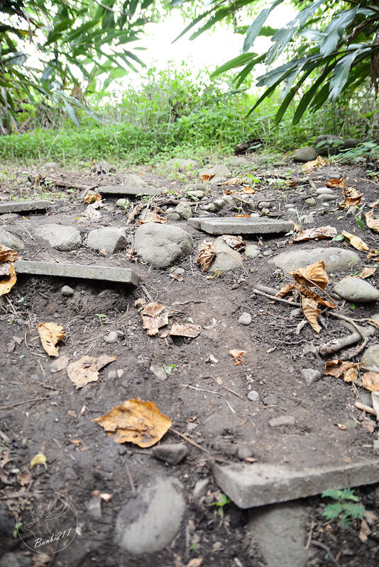 [台東特色旅遊]一起手護東河工作假期、部落屋民宿、腳踏車環台11線、東河包子、步道志工、原住民風味餐、台東衝浪、金樽漁港陸連島(雅比斯活動) :Banbi217 美食旅遊