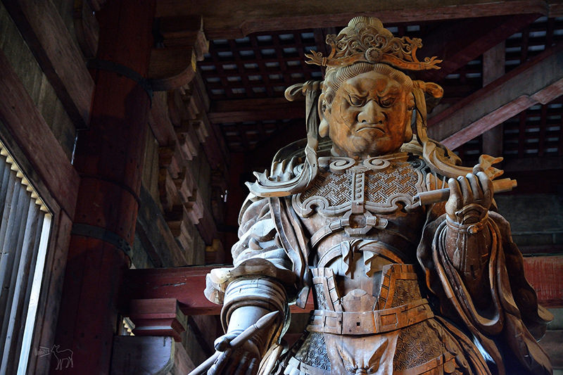 東大寺:有鹿圍繞的世界遺產,奈良一日遊景點交通,奈良公園與商店街