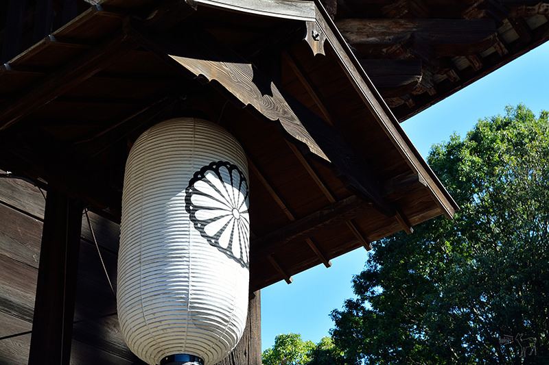 東大寺:有鹿圍繞的世界遺產,奈良一日遊景點交通,奈良公園與商店街