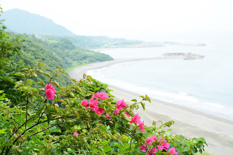 [台東特色旅遊]一起手護東河工作假期、部落屋民宿、腳踏車環台11線、東河包子、步道志工、原住民風味餐、台東衝浪、金樽漁港陸連島(雅比斯活動) :Banbi217 美食旅遊