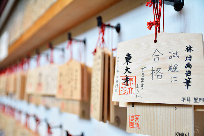 東大寺:有鹿圍繞的世界遺產,奈良一日遊景點交通,奈良公園與商店街