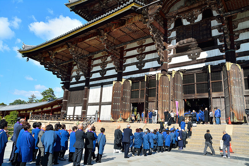 東大寺:有鹿圍繞的世界遺產,奈良一日遊景點交通,奈良公園與商店街