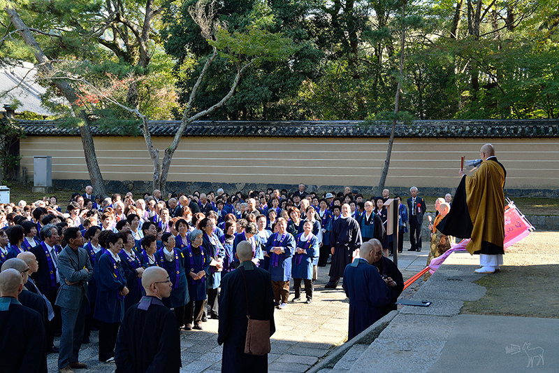 東大寺:有鹿圍繞的世界遺產,奈良一日遊景點交通,奈良公園與商店街