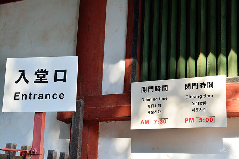 東大寺:有鹿圍繞的世界遺產,奈良一日遊景點交通,奈良公園與商店街