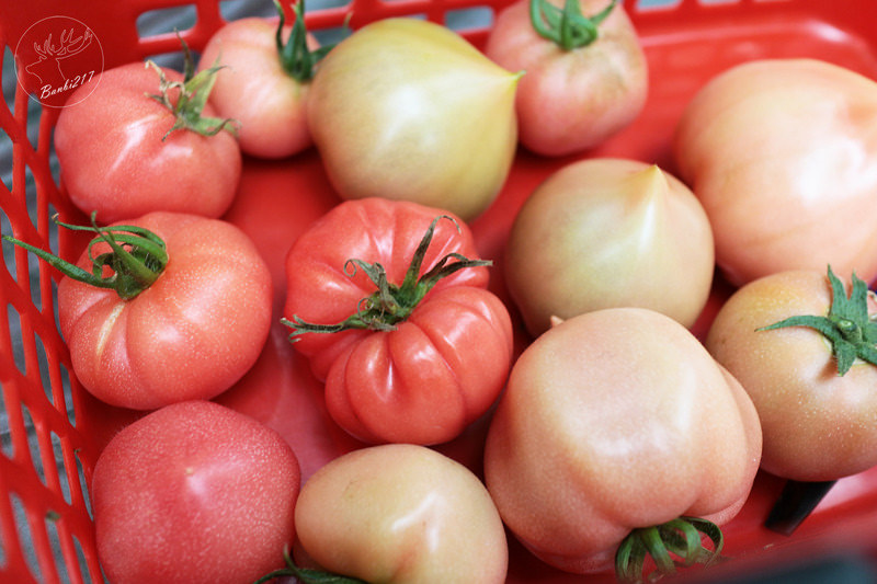 Banbi217 美食旅遊: 礁溪長榮鳳凰酒店(宜蘭溫泉住宿附早餐,免費到番茄果園採番茄)[邀約]