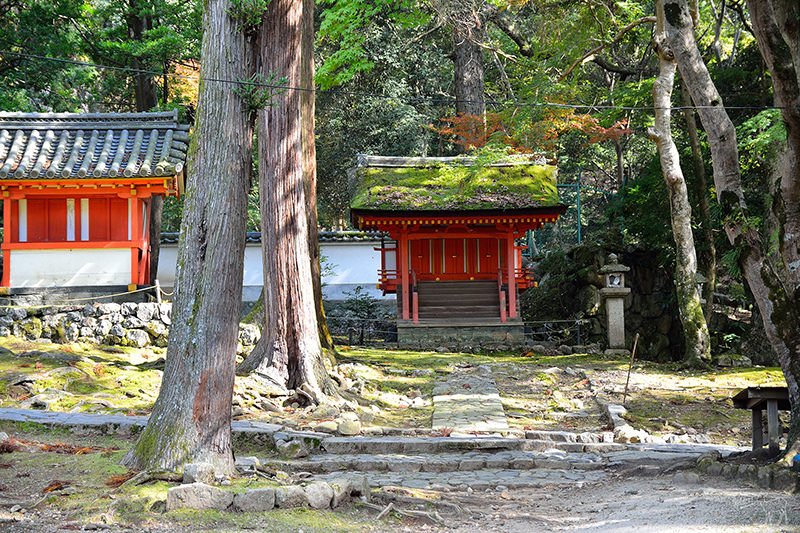 東大寺:有鹿圍繞的世界遺產,奈良一日遊景點交通,奈良公園與商店街