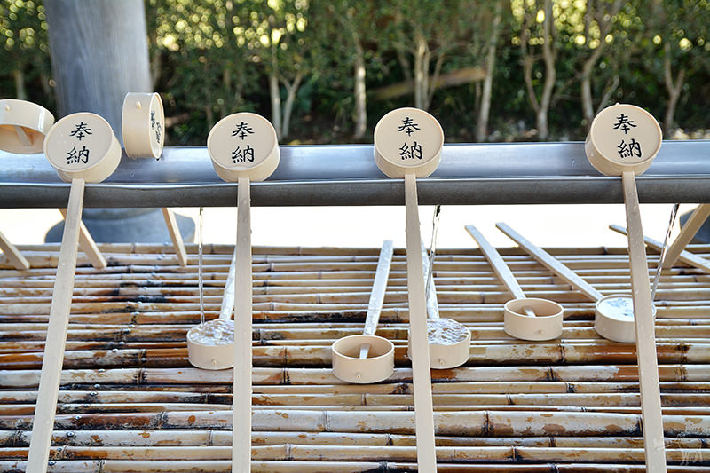 東大寺:有鹿圍繞的世界遺產,奈良一日遊景點交通,奈良公園與商店街