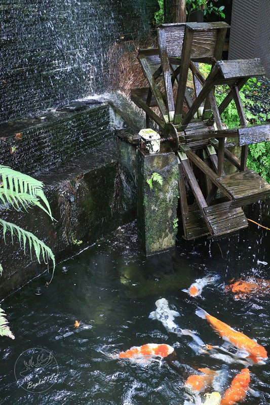 Banbi217 美食旅遊: 北投少帥禪園、漢卿美饌日式景觀餐廳美食、溫泉湯屋、小六茶鋪下午茶(捷運北投站、新北投站)