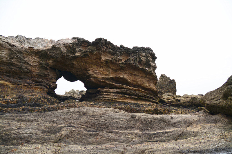 [台東特色旅遊]一起手護東河工作假期、部落屋民宿、腳踏車環台11線、東河包子、步道志工、原住民風味餐、台東衝浪、金樽漁港陸連島(雅比斯活動) :Banbi217 美食旅遊